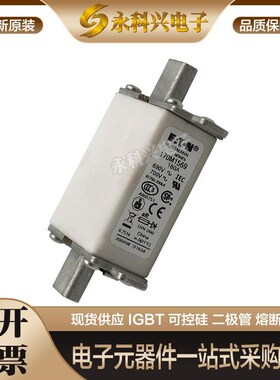 巴斯曼快速熔断器保险170M5261/5262/5263/5264/5265/5266/5267