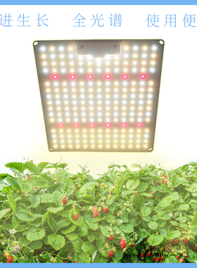 定制多肉补光灯100wled全光谱量子植物灯室内种植花卉绿植生长灯