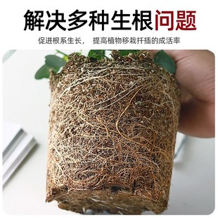 快速生根粉植物通用果树木移栽水培扦插专用花卉生根剂发根粉肥