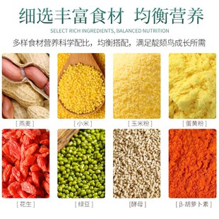 林八哥黑八哥乌鸫鸟鹩哥鸟百舌鸟鸟食饲料