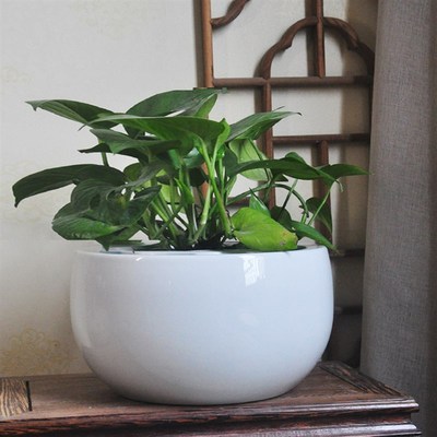 客厅家用小型陶瓷聚宝盆金鱼缸桌面摆件纯白阳台小院装饰水族箱