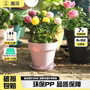 简约家用客厅阳台七彩树脂塑料花盆大小号加仑多肉盆 魔润新款