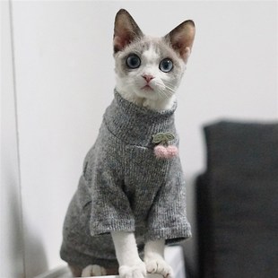德文猫专用衣服秋冬季保暖无毛猫幼猫奶猫咪宠物毛衣弹力斯芬克斯