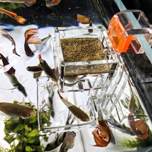 挂缸壁鱼粮防扩散降NO3 解决多余饲料 鱼缸喂食圈 接食盆一体组合