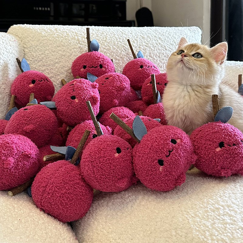 逗猫棒猫玩具小猫咪薄荷用品木天蓼自嗨解闷神器磨牙棒激光笔长杆