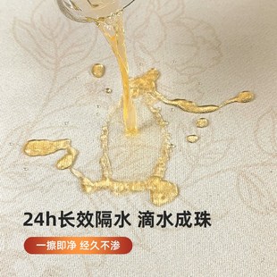 地毯客厅2024新款 法式 轻奢高级感家用卧室沙发茶几毯免洗可擦地垫