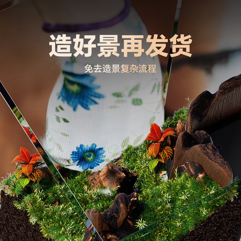 小鱼缸客厅2024新款生态造景全套小型斗鱼超白桌面雨林水陆玻璃缸