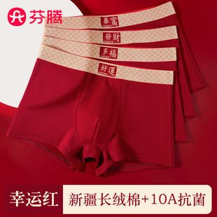 芬腾本命年纯棉红色内裤男士2026新款属马年男款男生结婚平角短裤