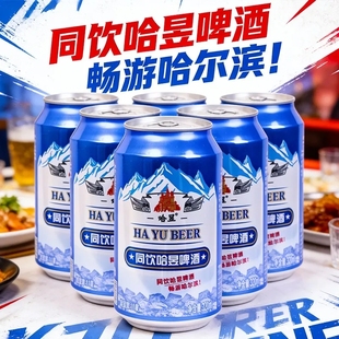 8罐泡沫丰富家商用低醇啤酒划算 正宗哈昱啤酒320ML 官方正品