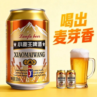 泡沫箱 小麦王啤酒醇厚浓郁整箱新日期聚会年货推荐 官方正品