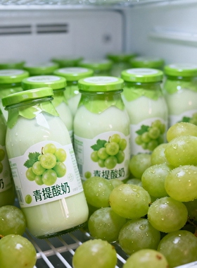 220ml*20瓶青提酸奶风味饮品官方推荐香醇美味果味香浓入口丝滑