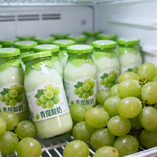 220ml*20瓶青提酸奶风味饮品官方推荐香醇美味果味香浓入口丝滑