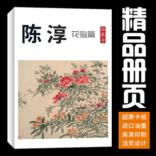 画集册页入门高清印刷 陈淳花鸟画集册页国画临摹卡套装 40张