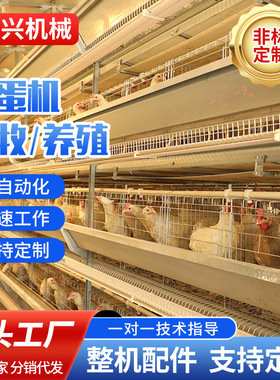 新型捡蛋机鸡场拾蛋机械设备自动过滤破损鸡蛋全自动蛋机养殖新款