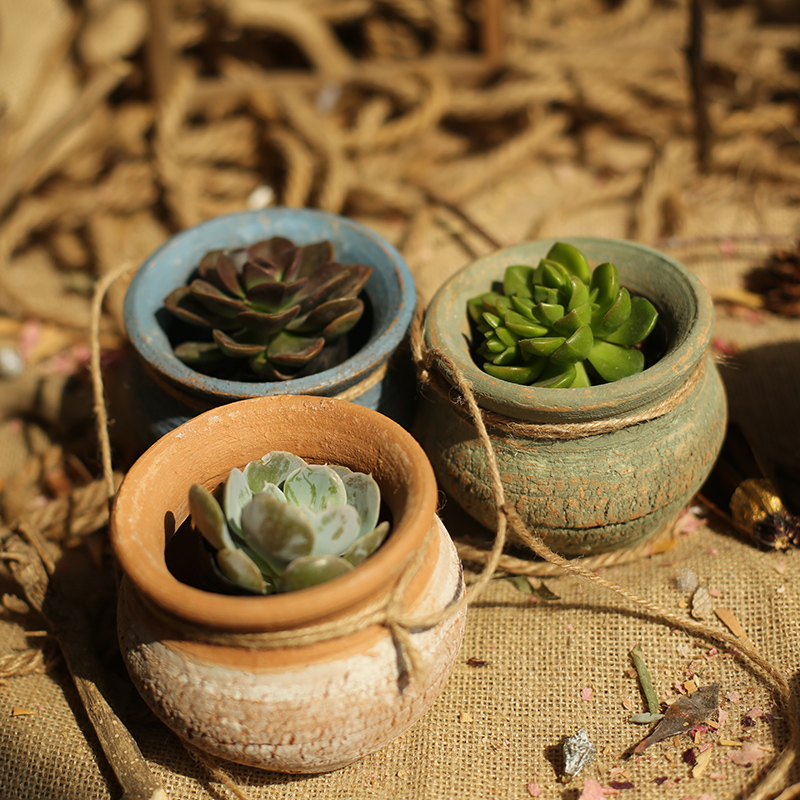 麻绳壁挂复古多肉老桩植物粗陶客厅透气吊陶盆陶土花盆土陶罐
