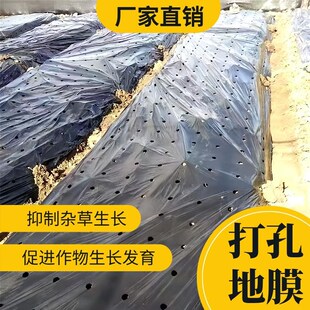 打孔黑地膜除草保温保墒草莓葱蒜药材羊肚菌种植有孔种菜塑料薄膜