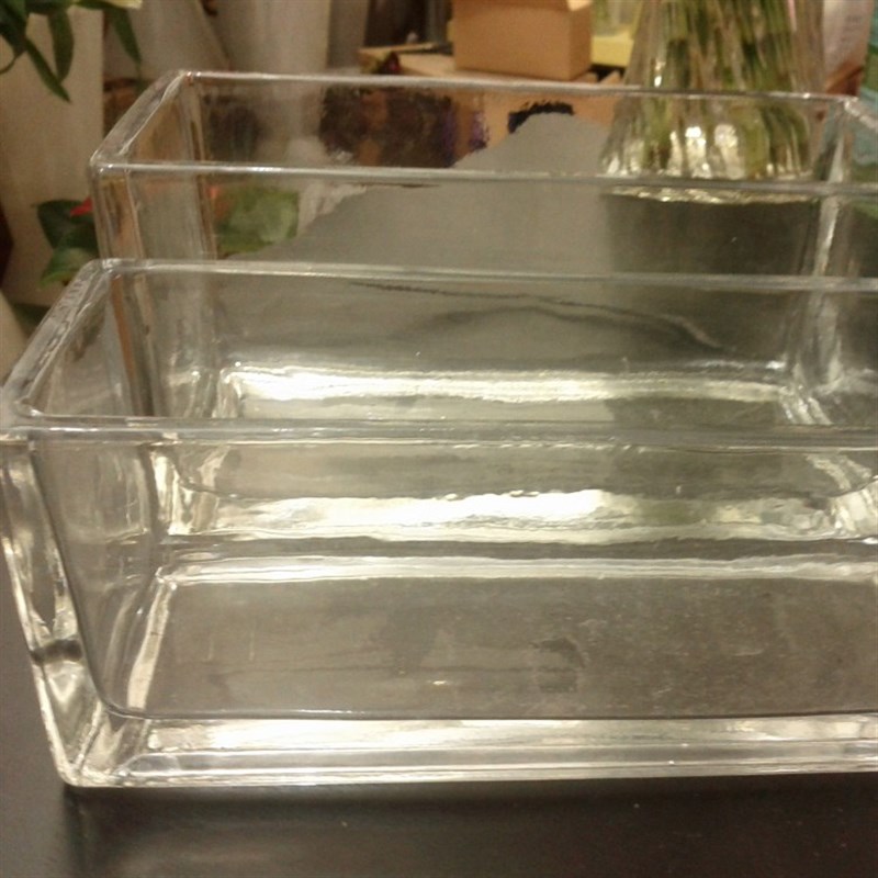 水培玻璃花盆 花瓶 长方形缸 植物花器绿萝水仙铜钱草多肉