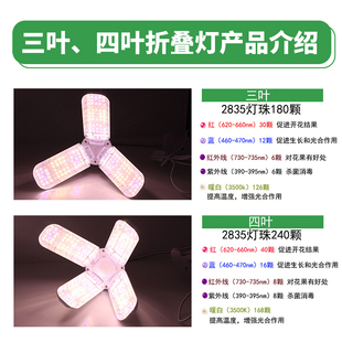 星锐多肉补光灯 折叠灯上色全光谱LD仿太阳光灯绿植育苗家用