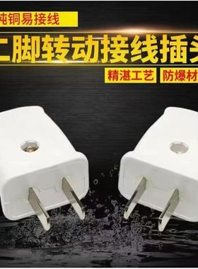 白色二级电源插头接线插头两脚固定式插只大功率电源插头WTS273