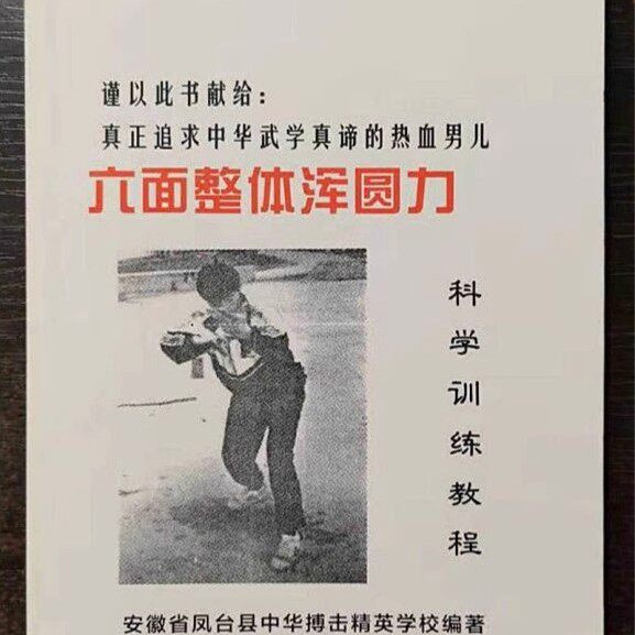 卢氏结构六面整体浑圆力教程(科学训练教程)图片