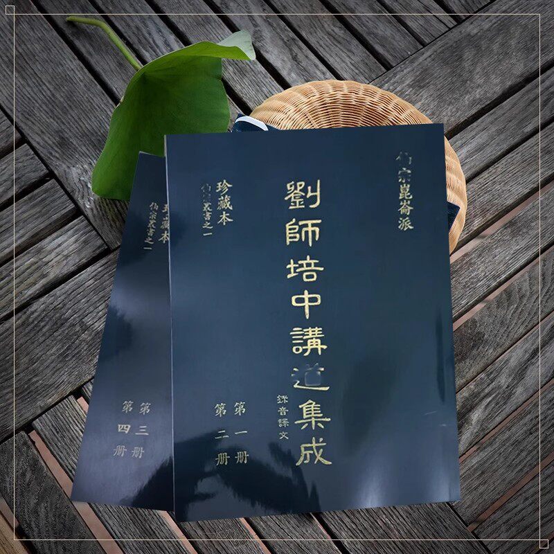 无删减 刘培中 讲道集成 1—4册中医医学医术养 所见所得
