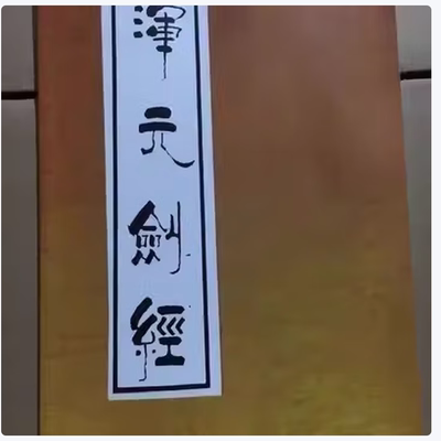 混元剑经 浑元剑经武功秘籍武林绝技剑学指要气贯周身法剑法捷诀