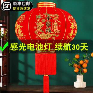 2025新KJD免插红电电池大春灯笼户外节新款年大门口一对乔迁阳台