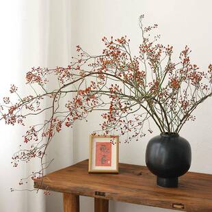 山归来蔷薇果枝红ULU果干 干然花花束禅意长干枝干树枝插花高级真