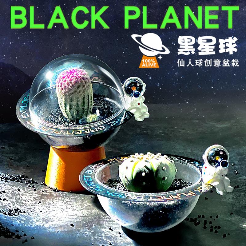 流浪星球仙人掌创意绿植微景观室办公室桌面小盆栽多肉礼盒摆件