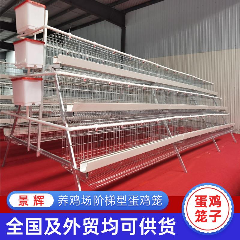 阶梯多层鸡笼外贸出口家禽养殖自动化阶梯式自动滚动蛋养鸡设备