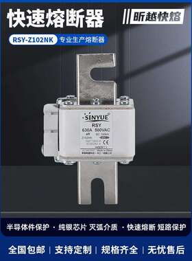 快速熔断器660V1000V300A400A500A600A700A叉勾陶瓷保险快熔Z102N