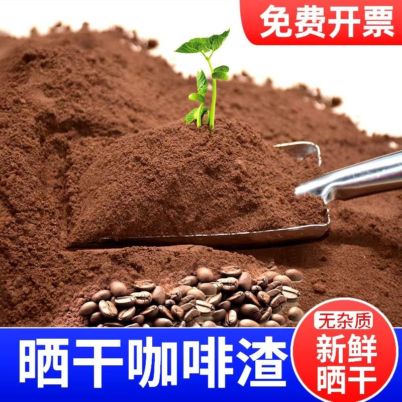 咖啡渣除味 新房去甲醛 除异味烟灰缸灭烟除臭活性炭包磨砂膏干渣