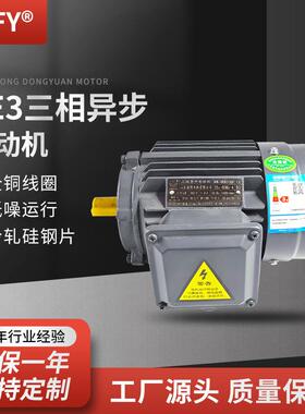 三相异步电动机YE3-112M-4极铁壳电机380V4W屠宰机械用马达