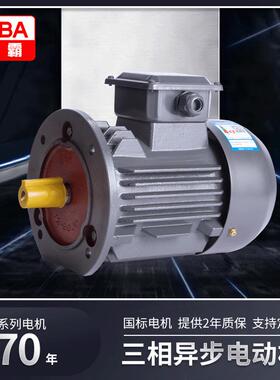 厂家直供2/4/6极15w三相异步电动机Y3/YE3铁/铝壳立卧式机械电机
