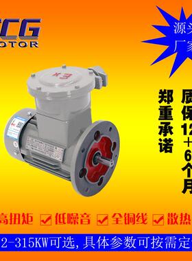 YBX3防爆BT4系列三相异步电动机132w隔爆型电机高性能高能效