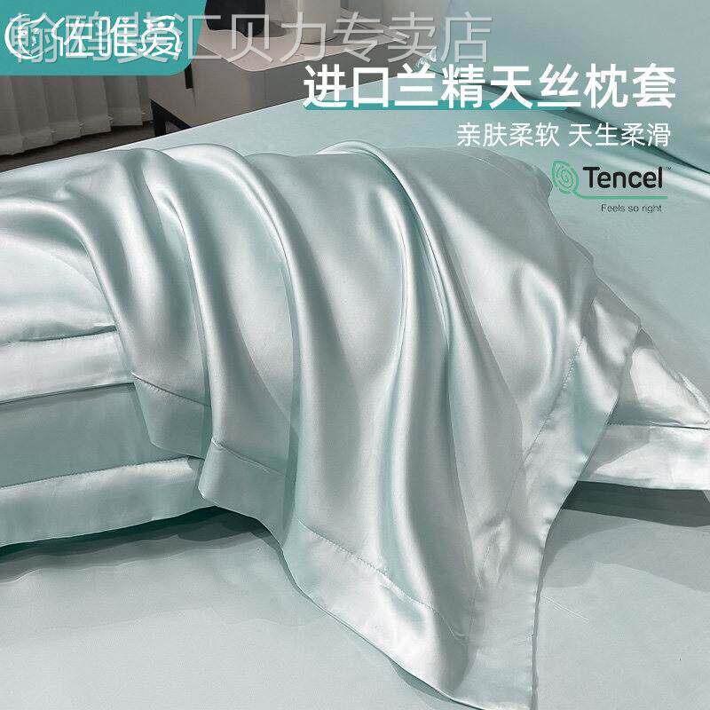 真丝枕套一对装冰丝枕头套天丝成人纯色高级感蓝色整头枕芯内胆套