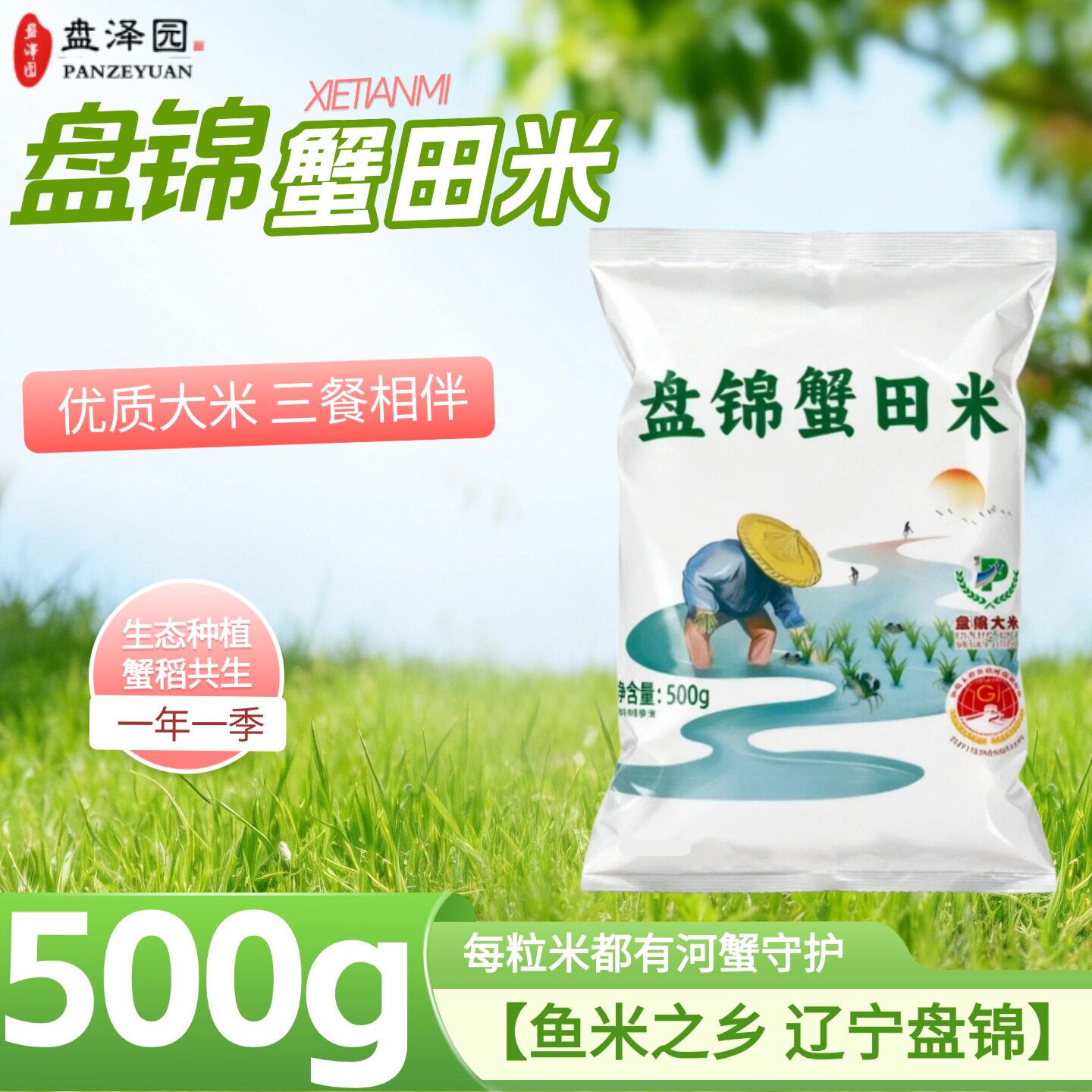 盘泽园盘锦蟹田米1斤装盘锦珍珠米东北大米大米新米圆粒米饭500g