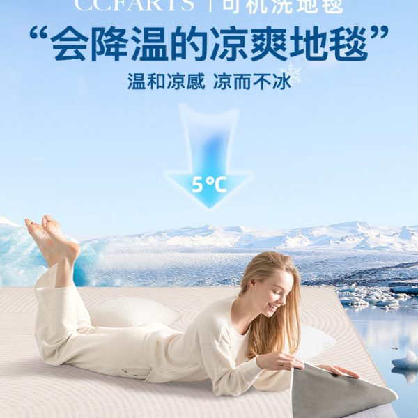 CCFARTS冰岛极夜 凉感可机洗水洗地毯客厅极简可拆洗地垫沙发家用