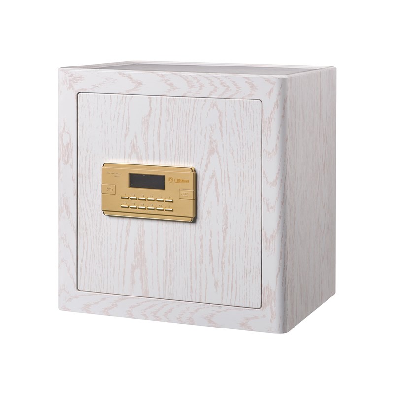 广纳保管柜箱GNWJXG2552家用保管柜箱