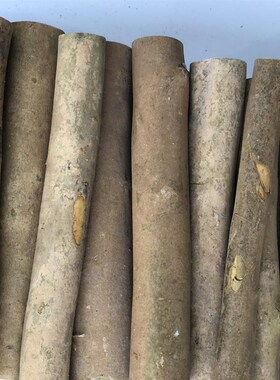 实木带皮圆木片壁炉装饰木柴树桩木材原木装饰木头山茶树木桩摆件