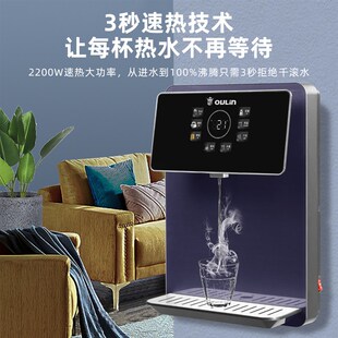 即熱飲水機 歐琳 G07 家用喝熱水 管線機壁掛式 OULIN 多檔調溫