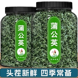 蒲公英原生态整棵带根干净无杂婆婆丁黄黄苗干品蒲公英天然蒲公英