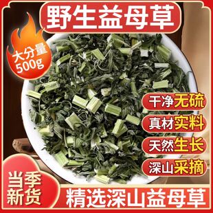 野生益母草新鲜干货500g克调理姨妈泡茶泡脚泡水正品中药材益母草