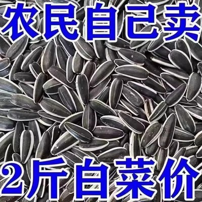 五香味瓜子内蒙古葵花籽古法瓜子大颗粒脱皮鸡汤瓜子零食批发5斤