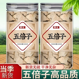 五倍子中药材正品可磨五倍子煮茶泡水五贝子可搭蛇床子五倍子末