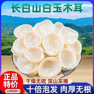 东北有机白玉木耳干货小碗耳特产级椴木雪耳黑木耳新鲜非野生
