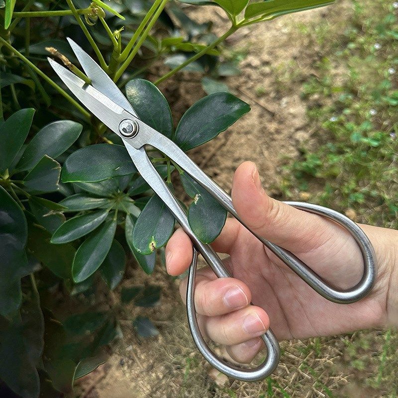 不锈钢叶芽剪园艺剪修枝花艺专用插花制作盆景枝叶剪叶芽小枝切剪
