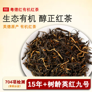 英德有机红茶新茶英红九号英德浓香秋茶型茶叶罐装口粮茶工夫红茶