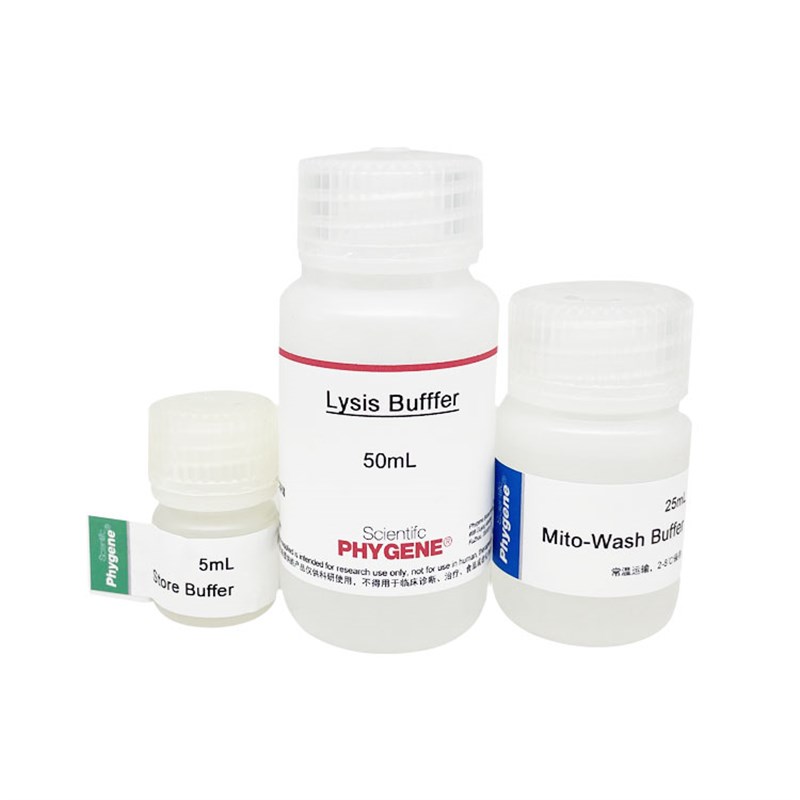 线粒体提取试剂盒 T/100T [PH022 PHYGENE]