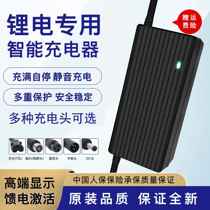充电式电动割草绿篱机48V24V锂电池电动车电瓶通用充电器园林离子